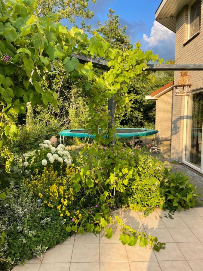 B&B Eibergen Met Prive Zwembad En Sauna Εξωτερικό φωτογραφία